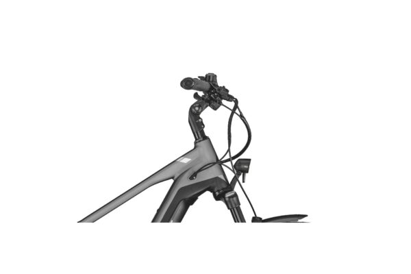 Bergamont E-Horizon FS Expert – 625 Wh – 2022 – 28 Zoll – Bild 3